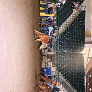 Meet your Posher, Colton